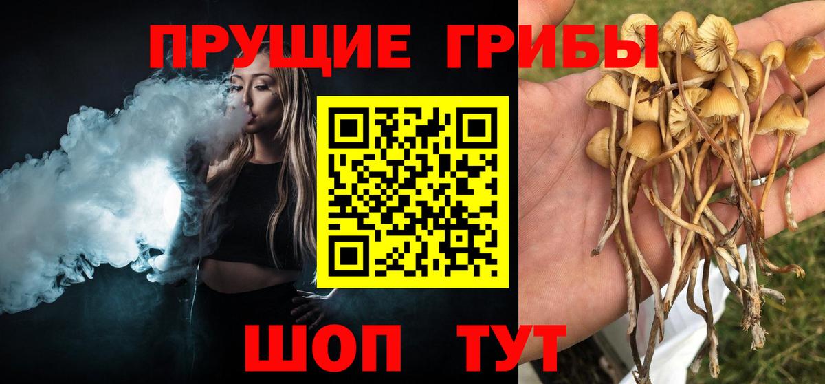 Норильск  Псилоцибиновые грибы мицелий  где купить наркотик  Вход с VPN  Галлюциногенные грибы Cubensis 