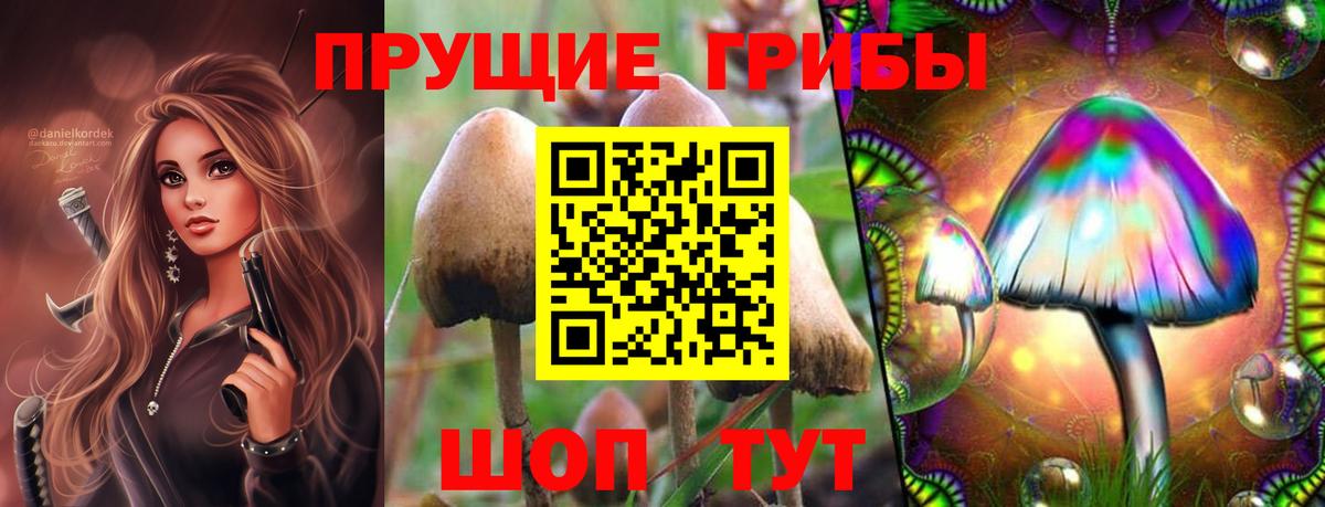 Псилоцибиновые грибы Psilocybe Норильск